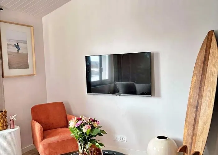 Le Surfeur, Cosy Au Coeur D'arago